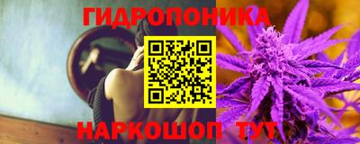spice Кунгур