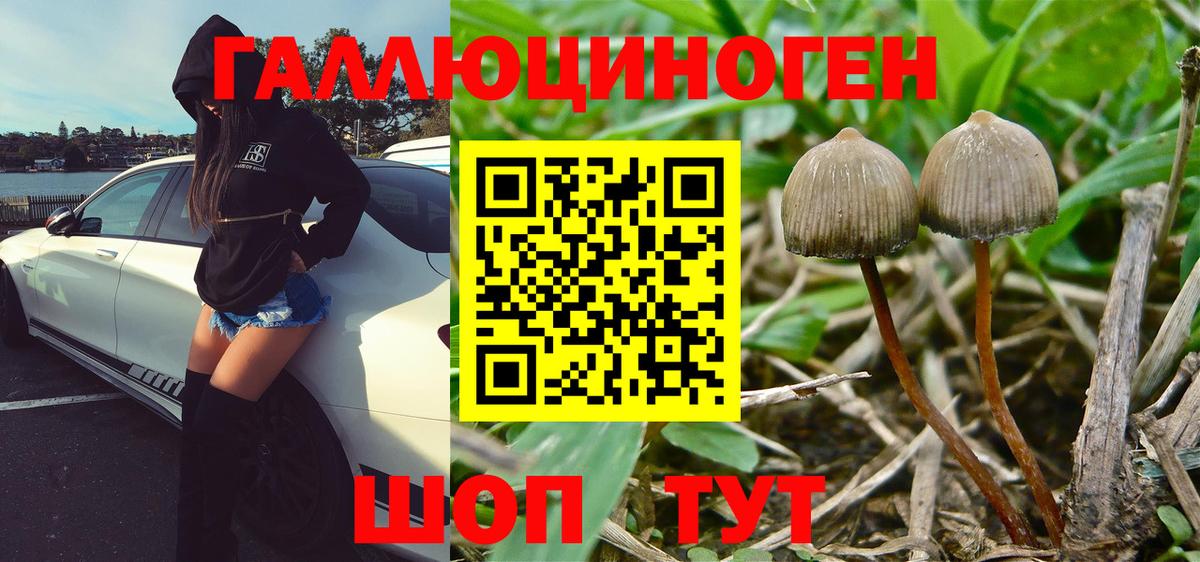 Псилоцибиновые грибы ЛСД Ессентуки